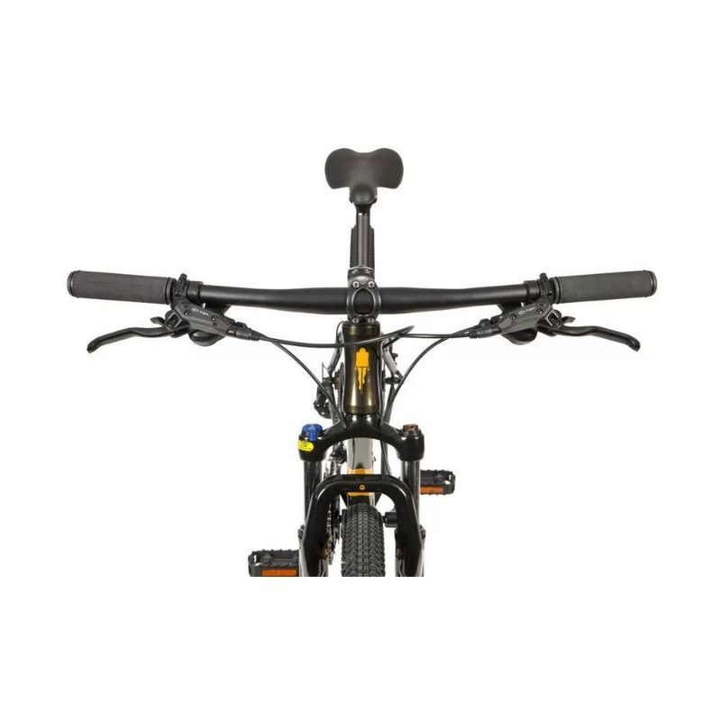 bicicleta-caloi-niner-aro-29-21-marchas-freio-a-disco-suspensao-dianteira-preto